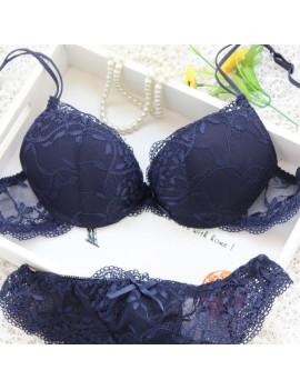 Sexy Lace Bra Set Push Up Seamless Embroidery Erotic Lingerie Women Underwear